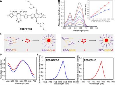 Differently PEGylated Polymer Nanoparticles for Pancreatic Cancer Delivery: Using a Novel Near-Infrared Emissive and Biodegradable Polymer as the Fluorescence Tracer